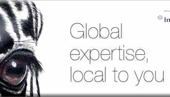 Global Expertise txt only